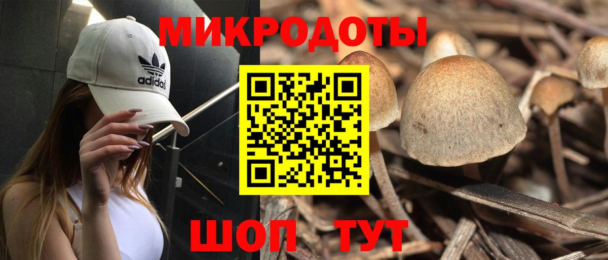 Борисоглебск  Псилоцибиновые грибы GOLDEN TEACHER  купить закладку  Галлюциногенные грибы Cubensis  Вход с VPN 