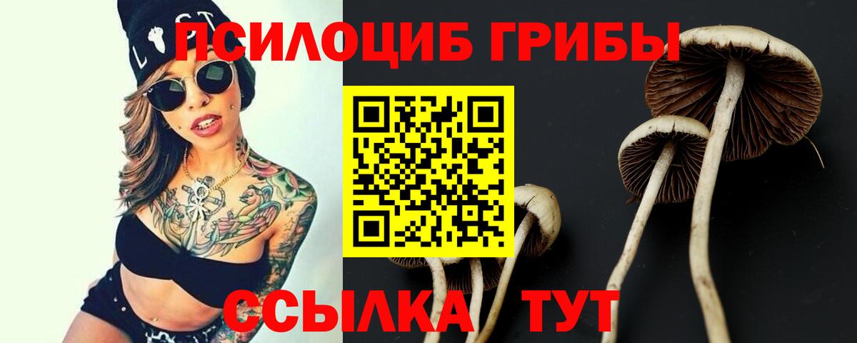 Псилоцибиновые грибы MAGIC MUSHROOMS Борисоглебск